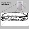 Printed Mugs Thumbnail